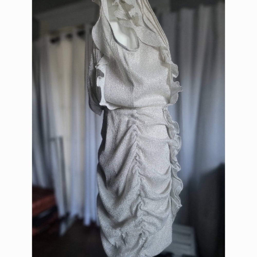 Chic Silver Ruffled Mini Dress - Picture 4 of 13